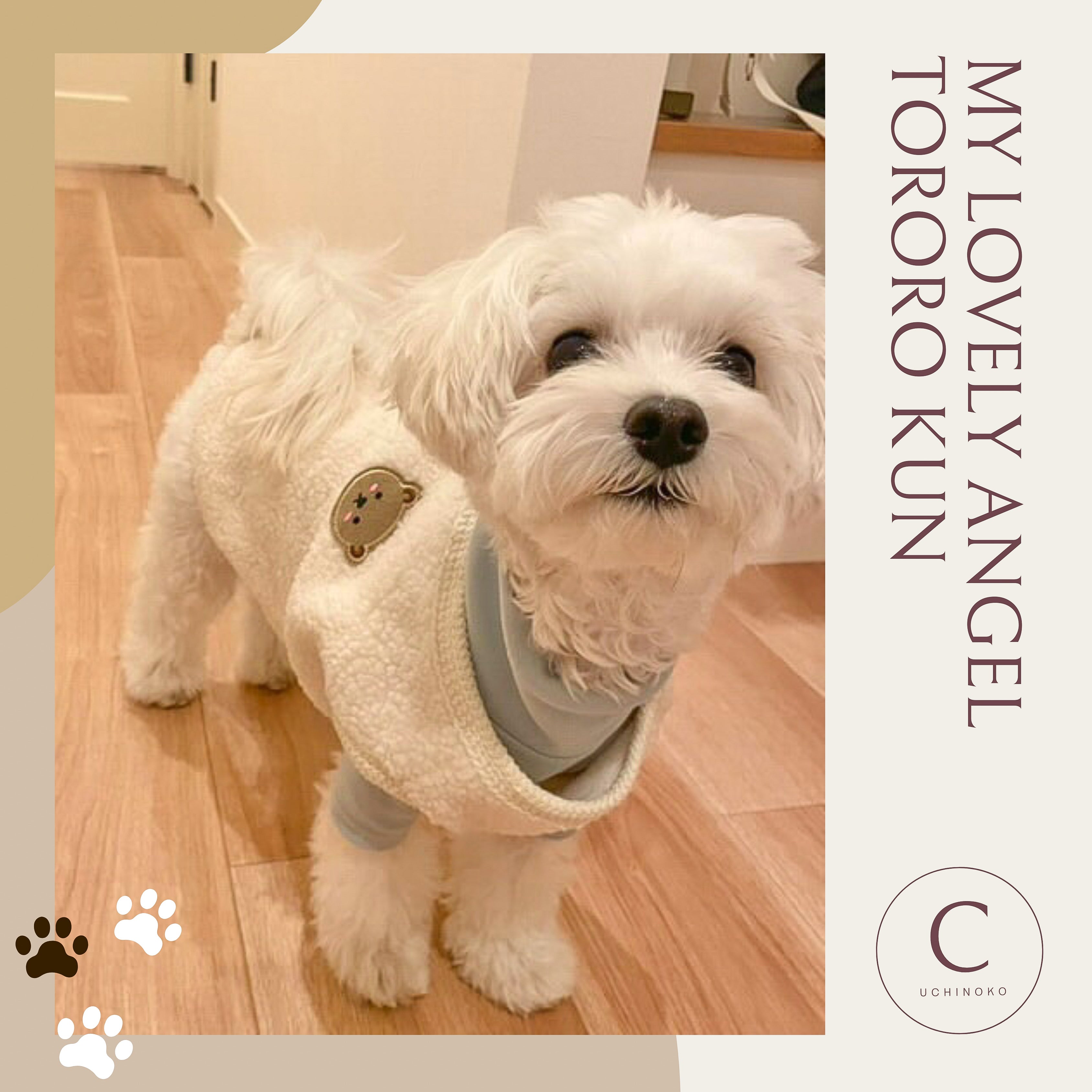 ＆LEI 愛犬ちゃんご紹介】とろろくん