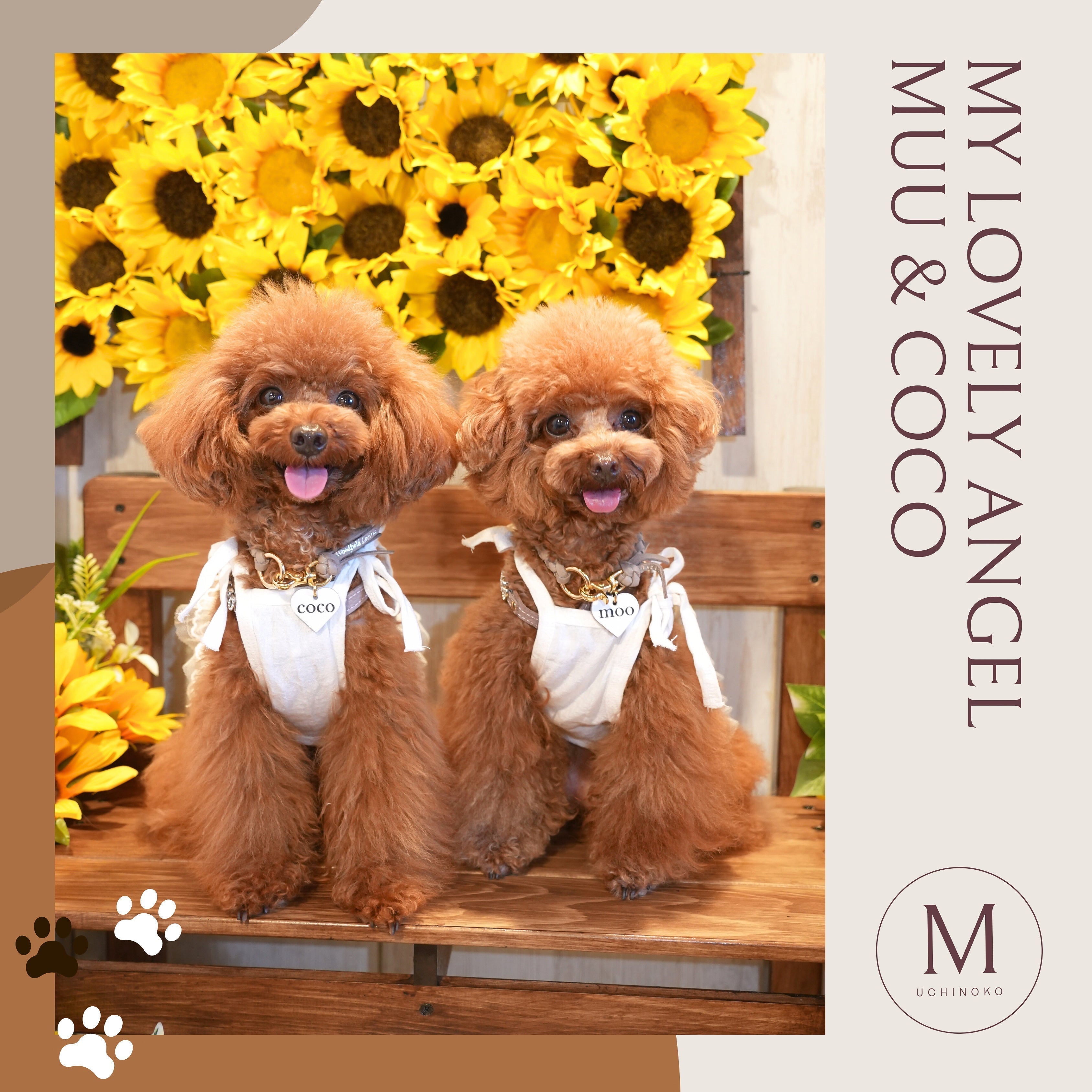 ＆LEI 愛犬ちゃんご紹介】むぅちゃん❤︎ここちゃん