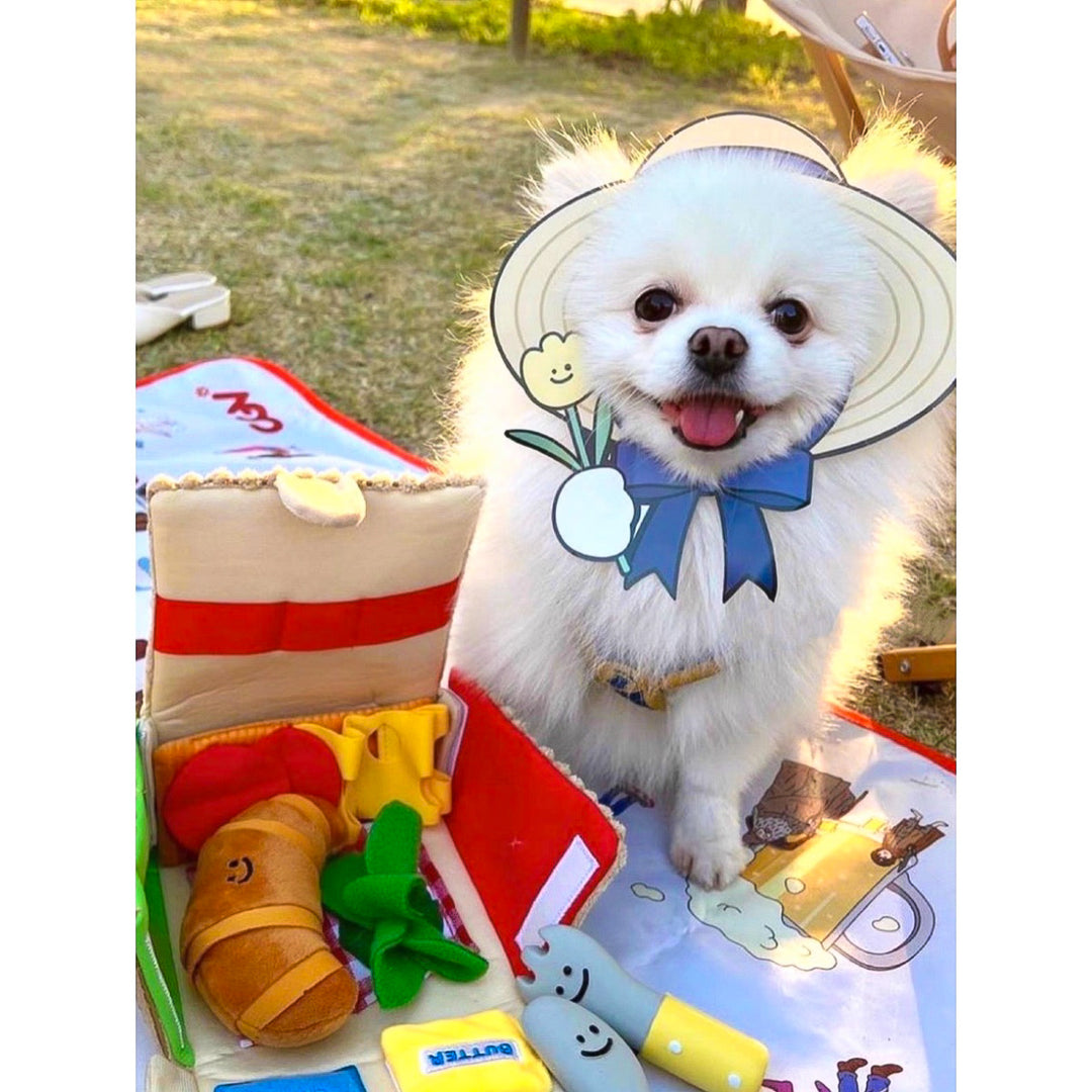 わくわくピクニックボックス