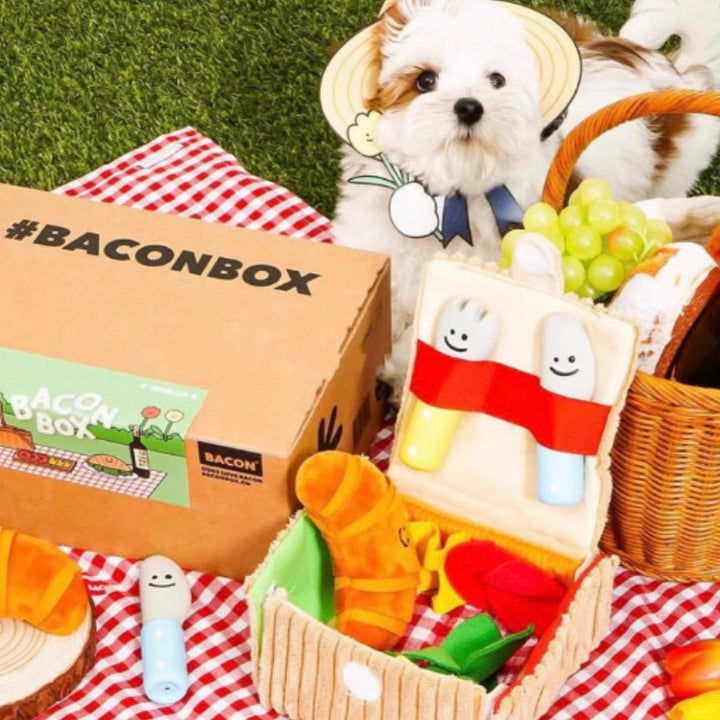 わくわくピクニックボックス