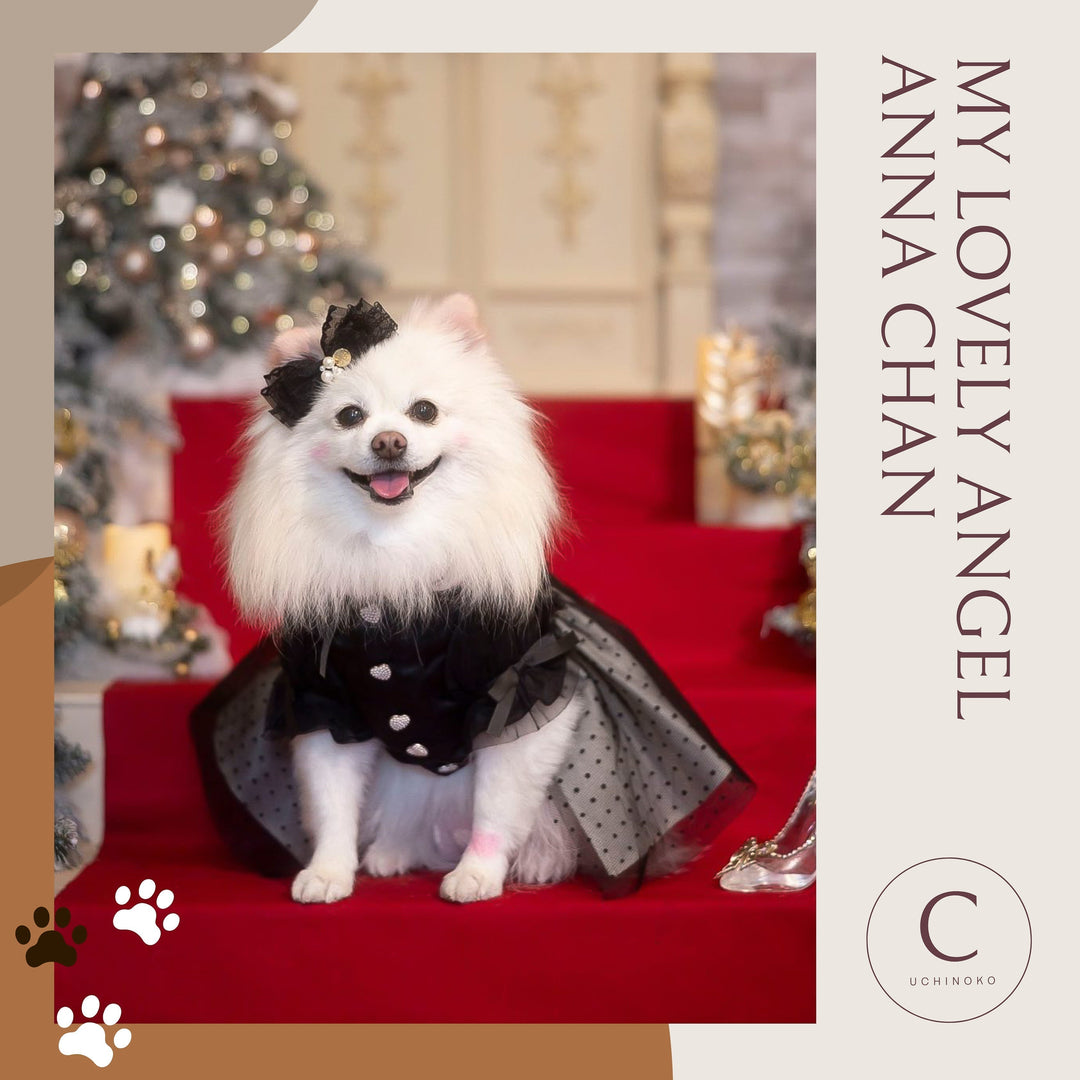 【アンナちゃん🐾】