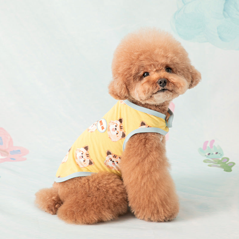 COOL SUMMER ITEMS