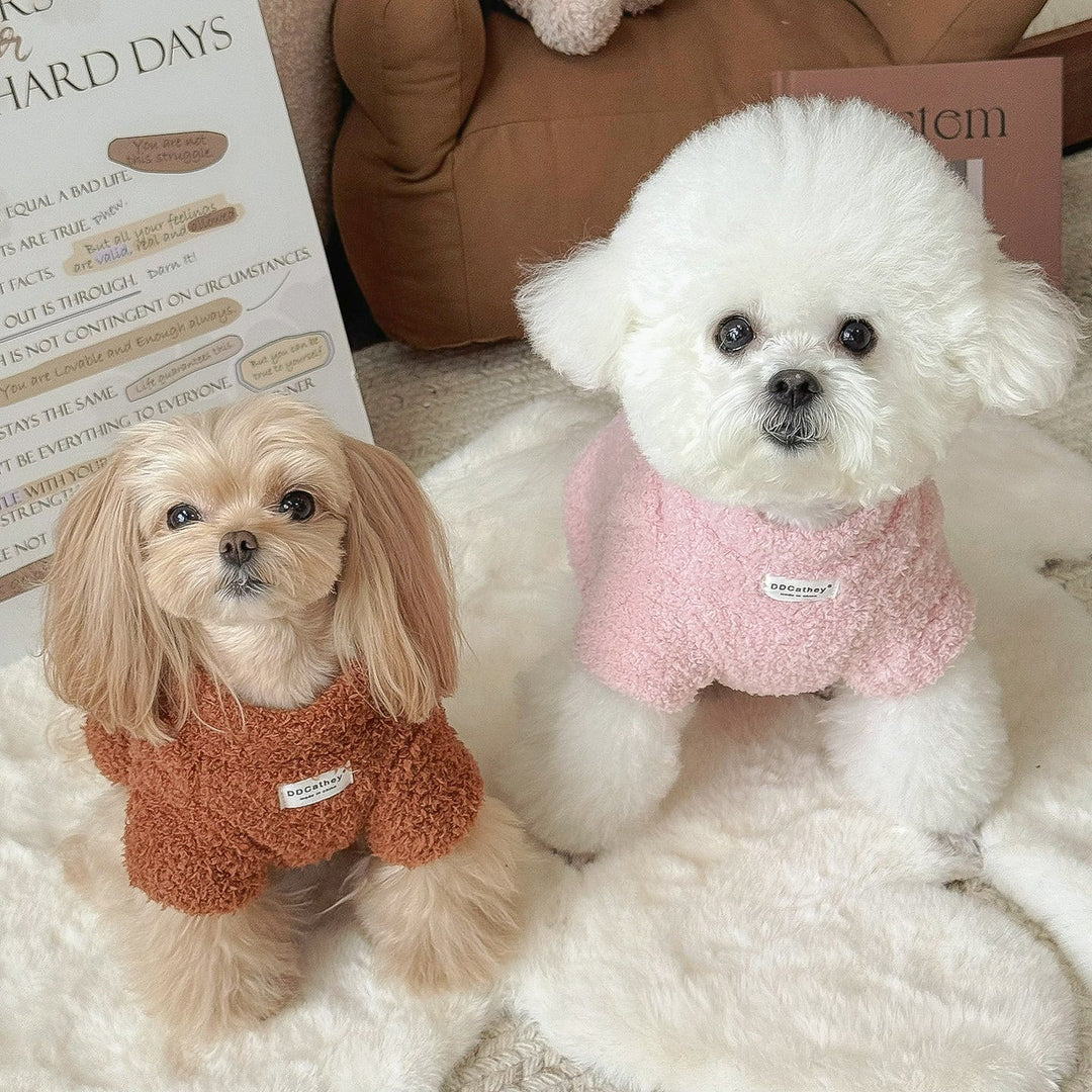 Warm Collection ’26 Winter