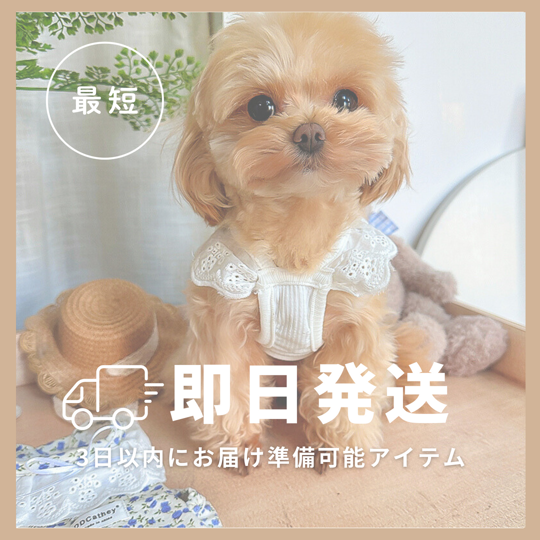 即日発送アイテム