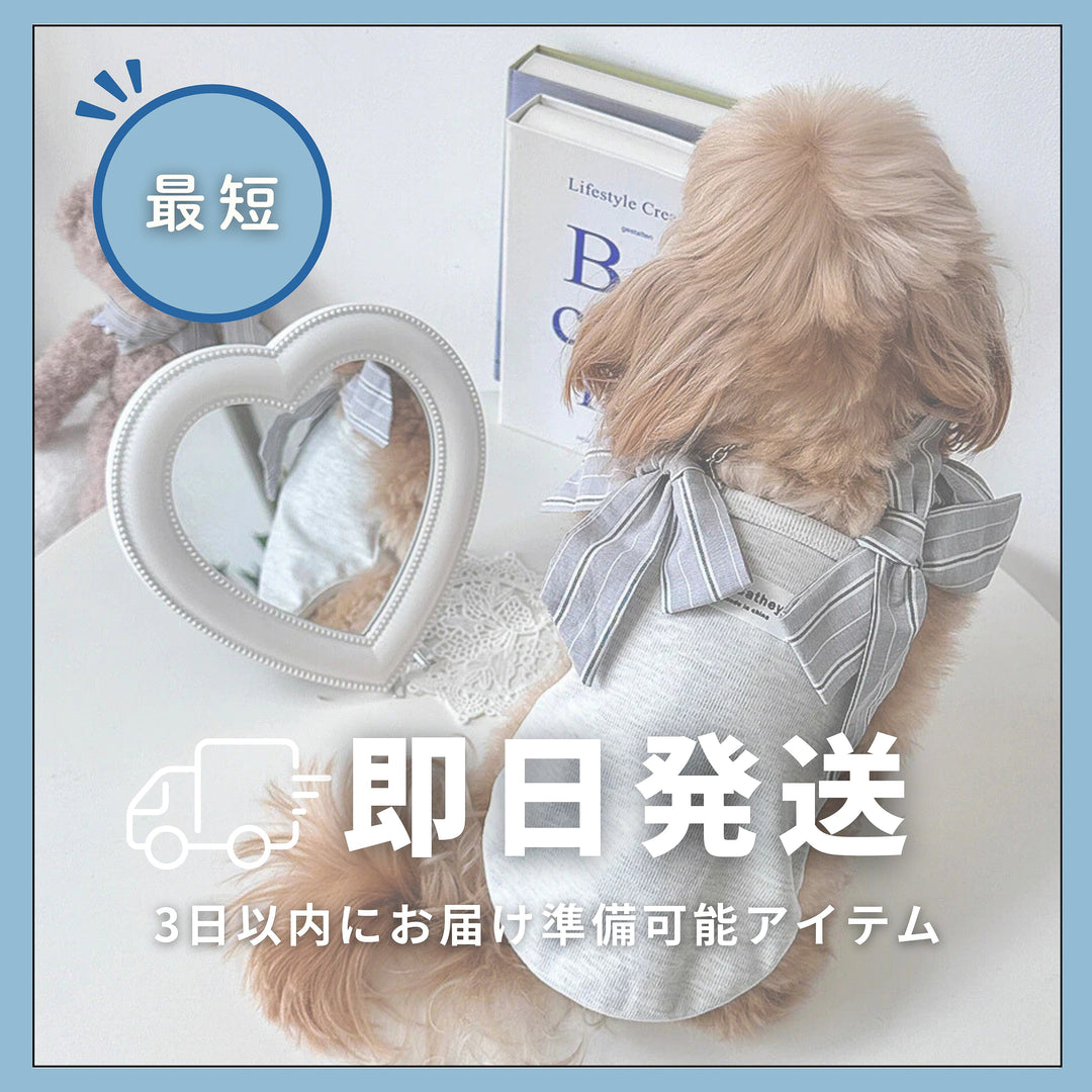 即日発送アイテム