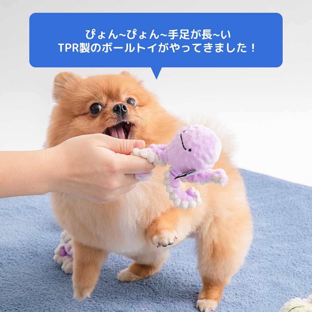 ぴゅんぴょんボールおもちゃ