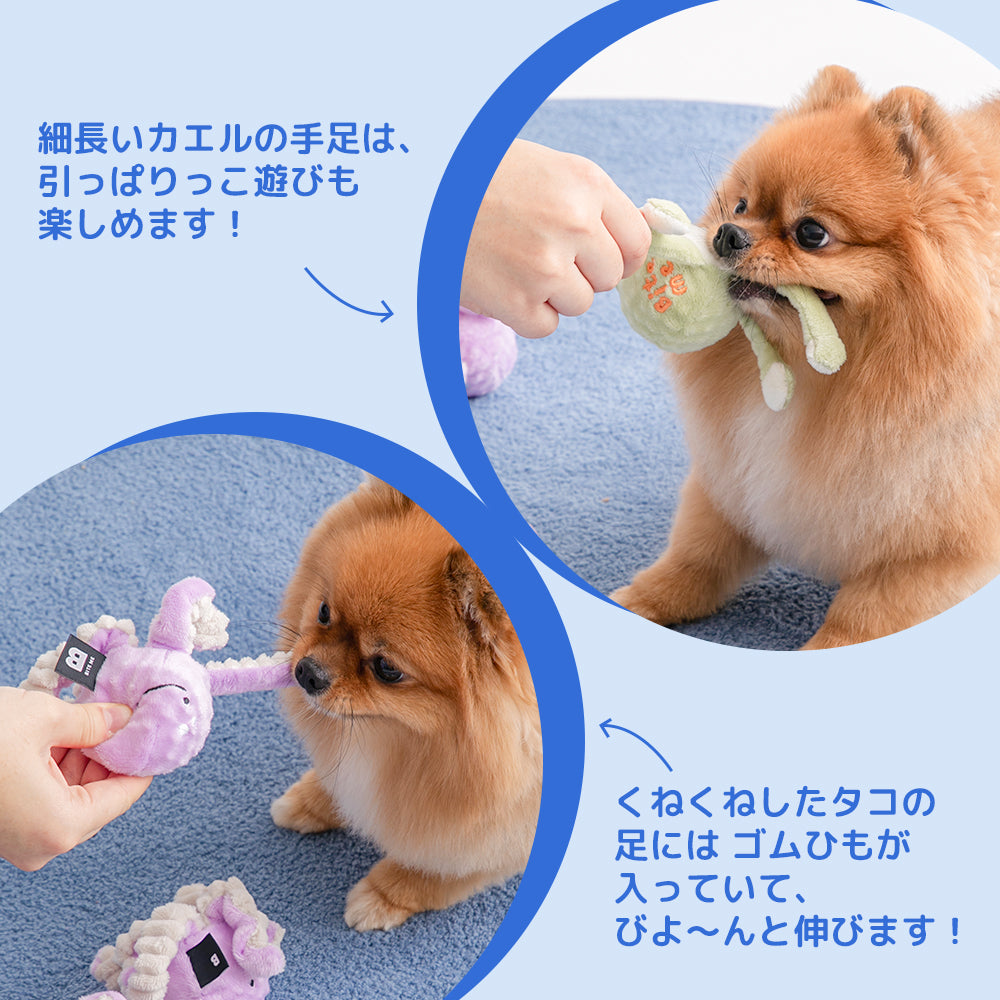 ぴゅんぴょんボールおもちゃ