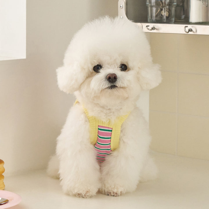 ロリポップ クロップトップ (ピンク)