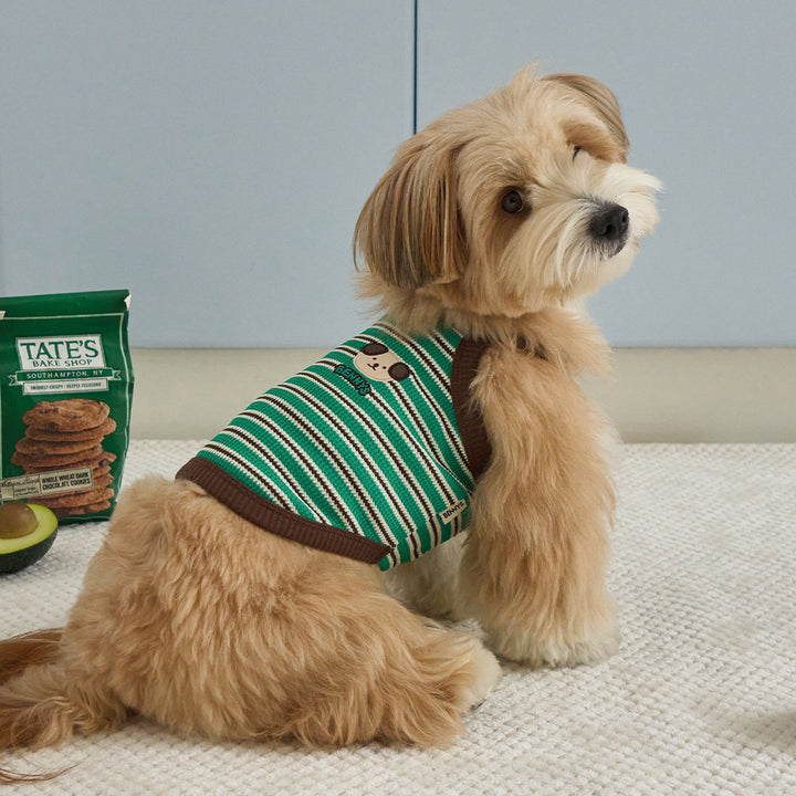 ロリポップ クロップトップ (グリーン)