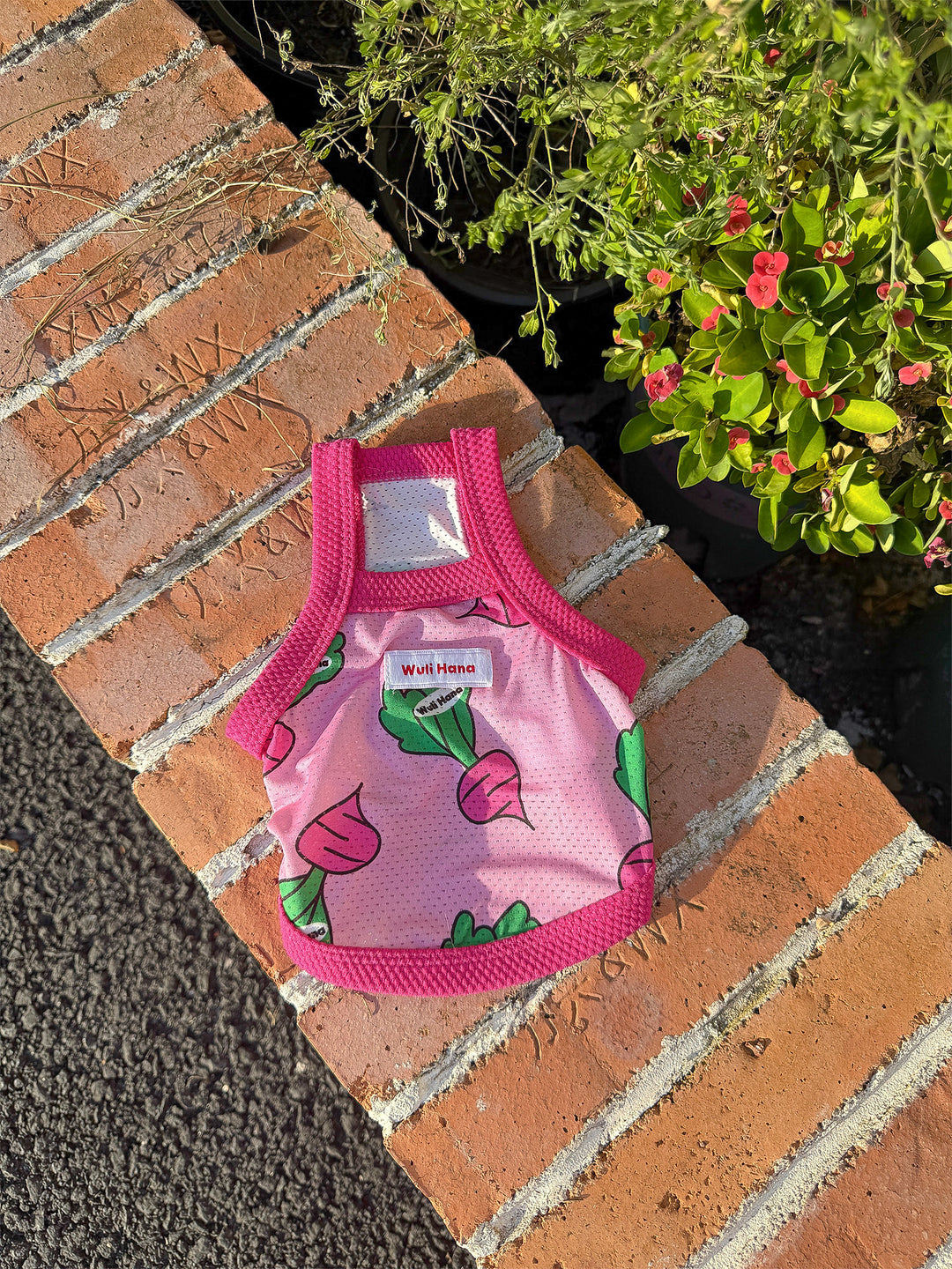 ベジポップメッシュタンクトップ