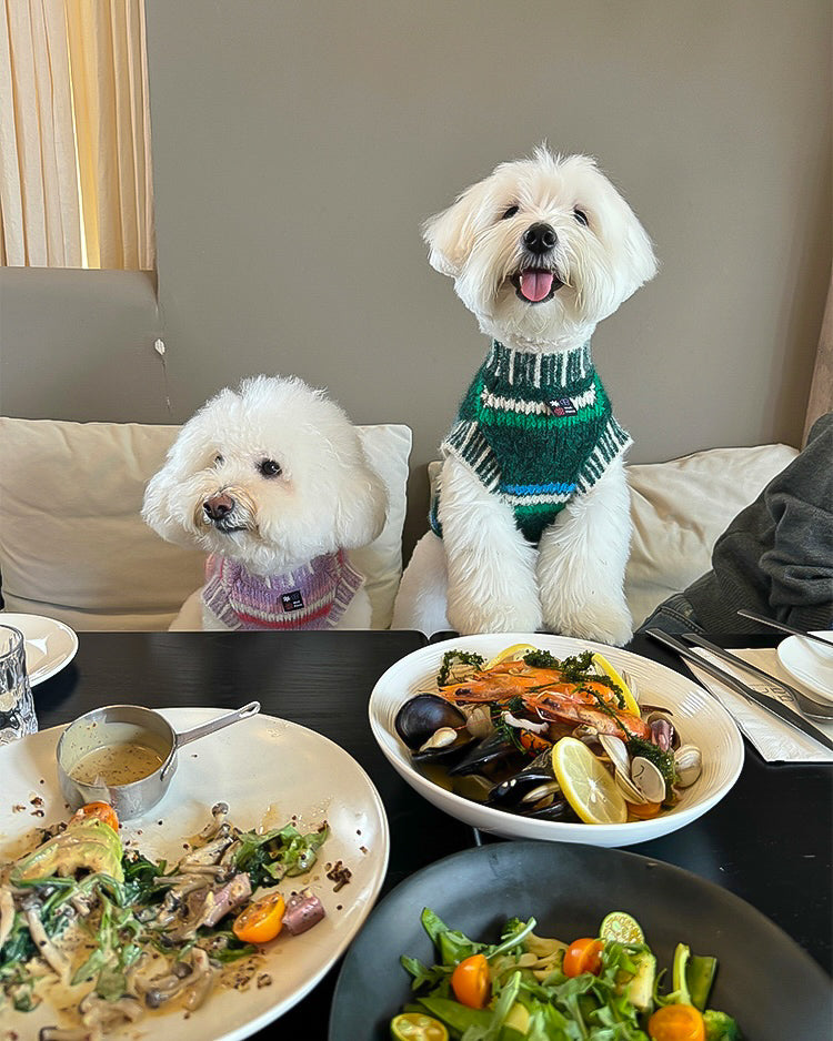 ＆LEI】ノルディックボーダーニットセーター