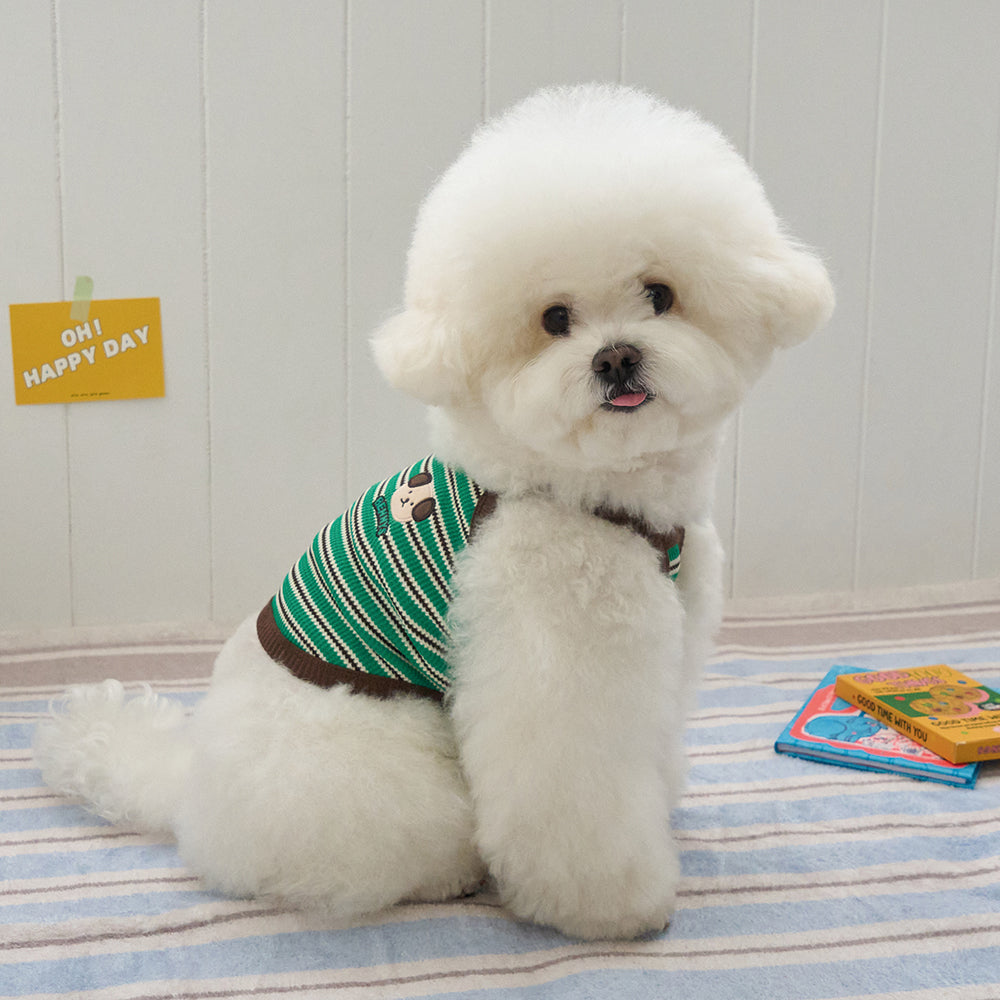 ロリポップ クロップトップ (グリーン)