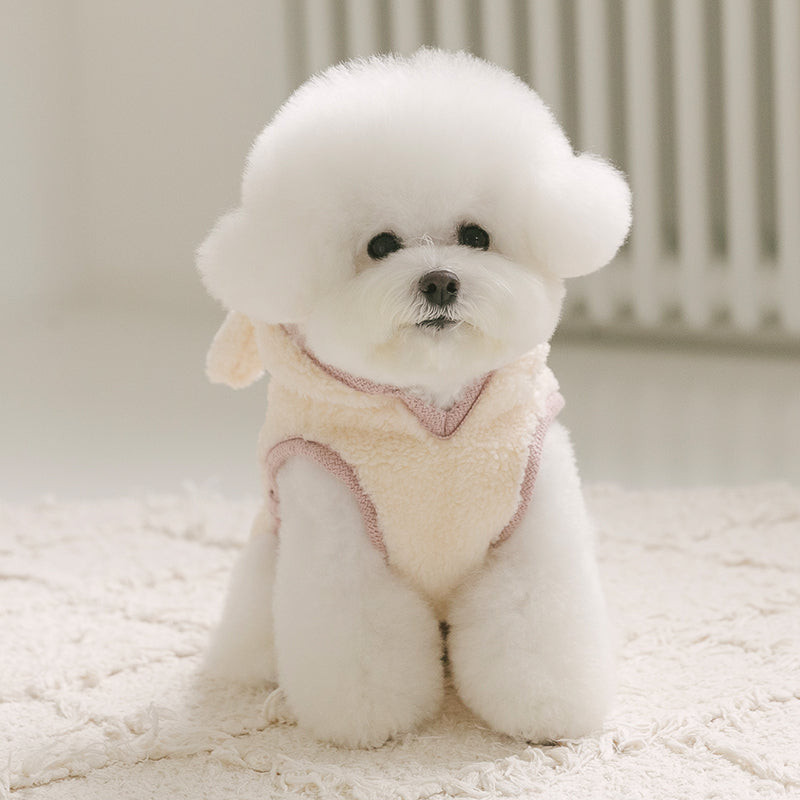 マイベスティポンチョ