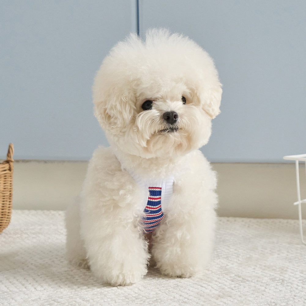 ロリポップ クロップトップ (ブルー)