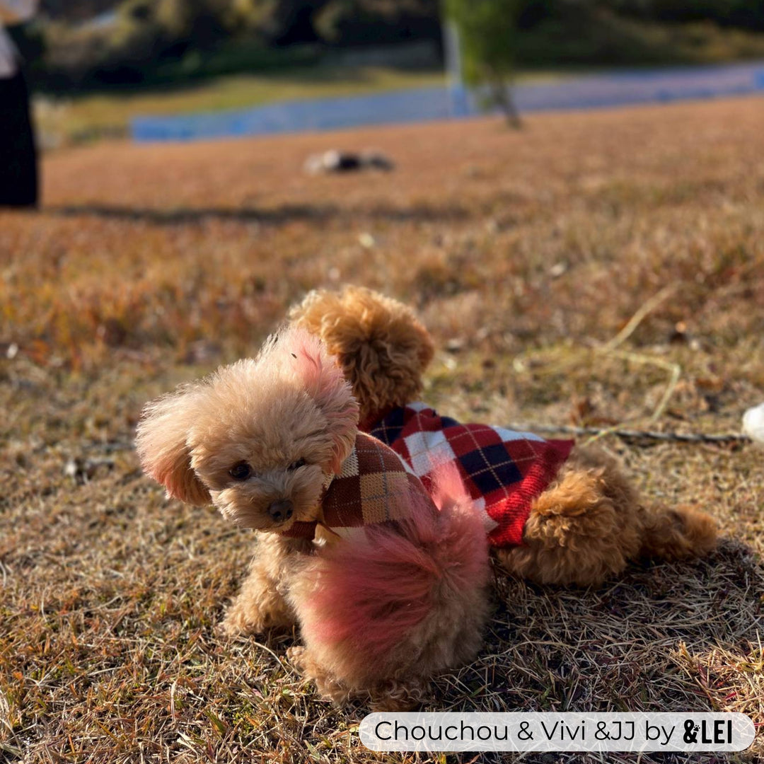 ブリティッシュチェック柄ニット