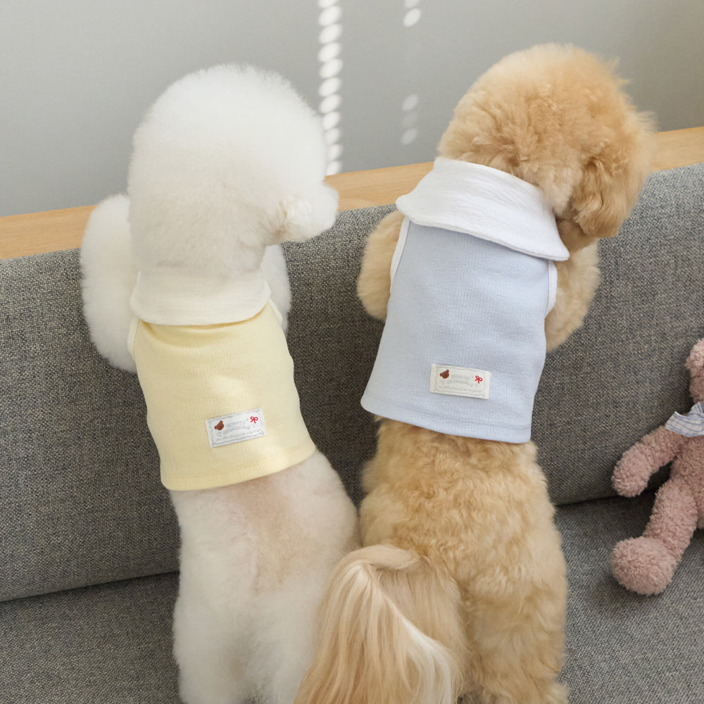 ボウカラー クロップTシャツ (ライトブルー)
