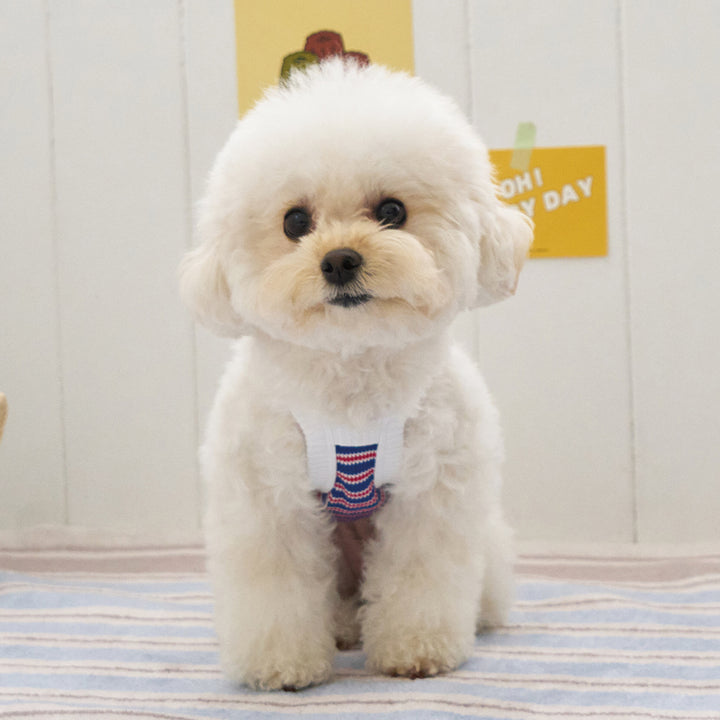 ロリポップ クロップトップ (ブルー)