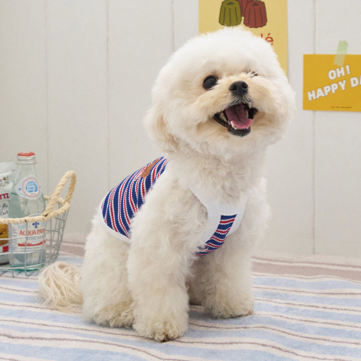 ロリポップ クロップトップ (ブルー)