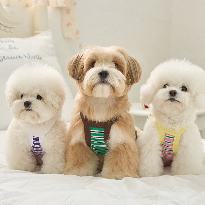 ロリポップ クロップトップ (ピンク)