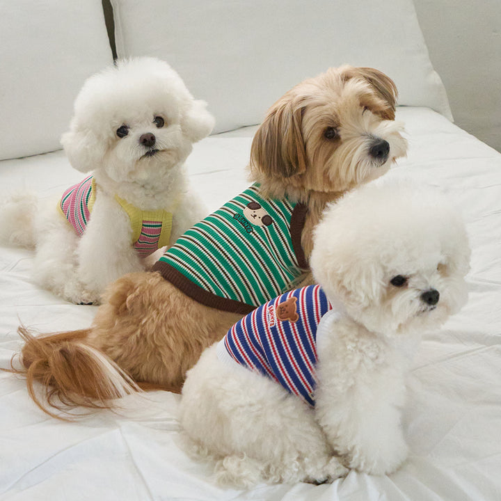 ロリポップ クロップトップ (ピンク)