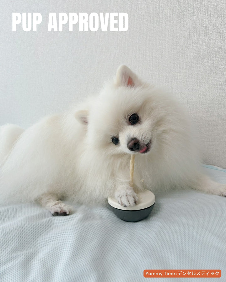 【国産/無添加】デンタルスティックS 15本