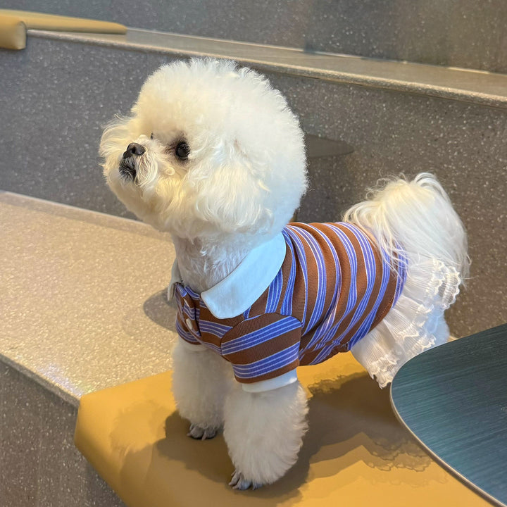 ストライプポロTシャツ&フリルワンピース