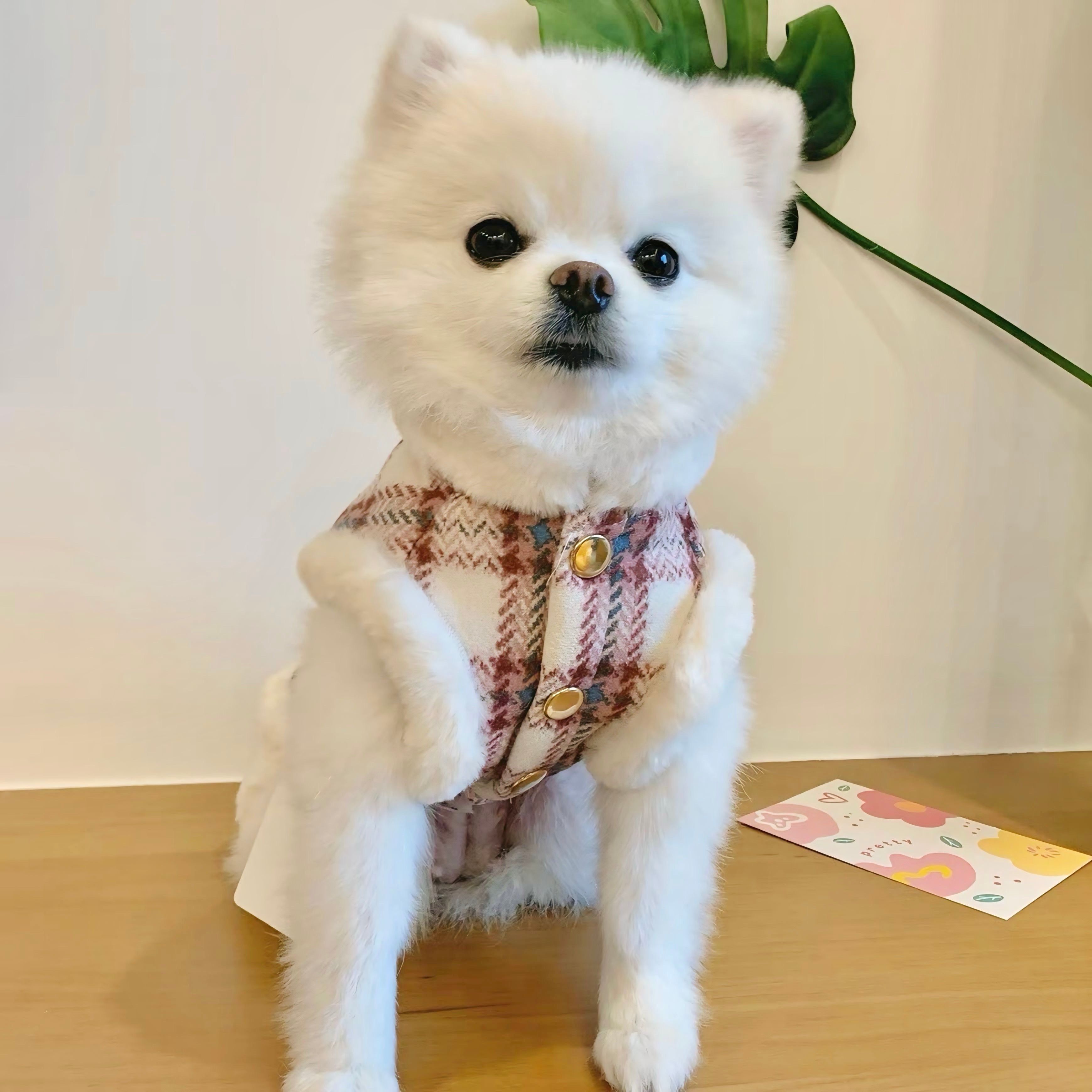 Lulu doll チェックリボン柄ボア犬服 ホワイト Lulu doll チェック