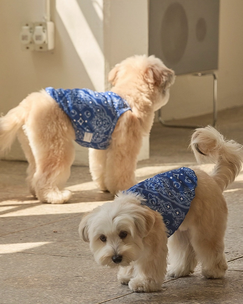 &LEI】joybear Bandana Bugguard Cooling Sleeveless – ＆LEI