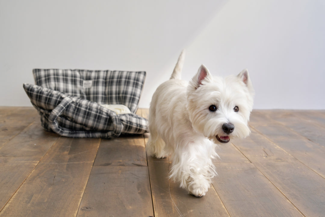 WIDE BAG - TARTAN BLACK