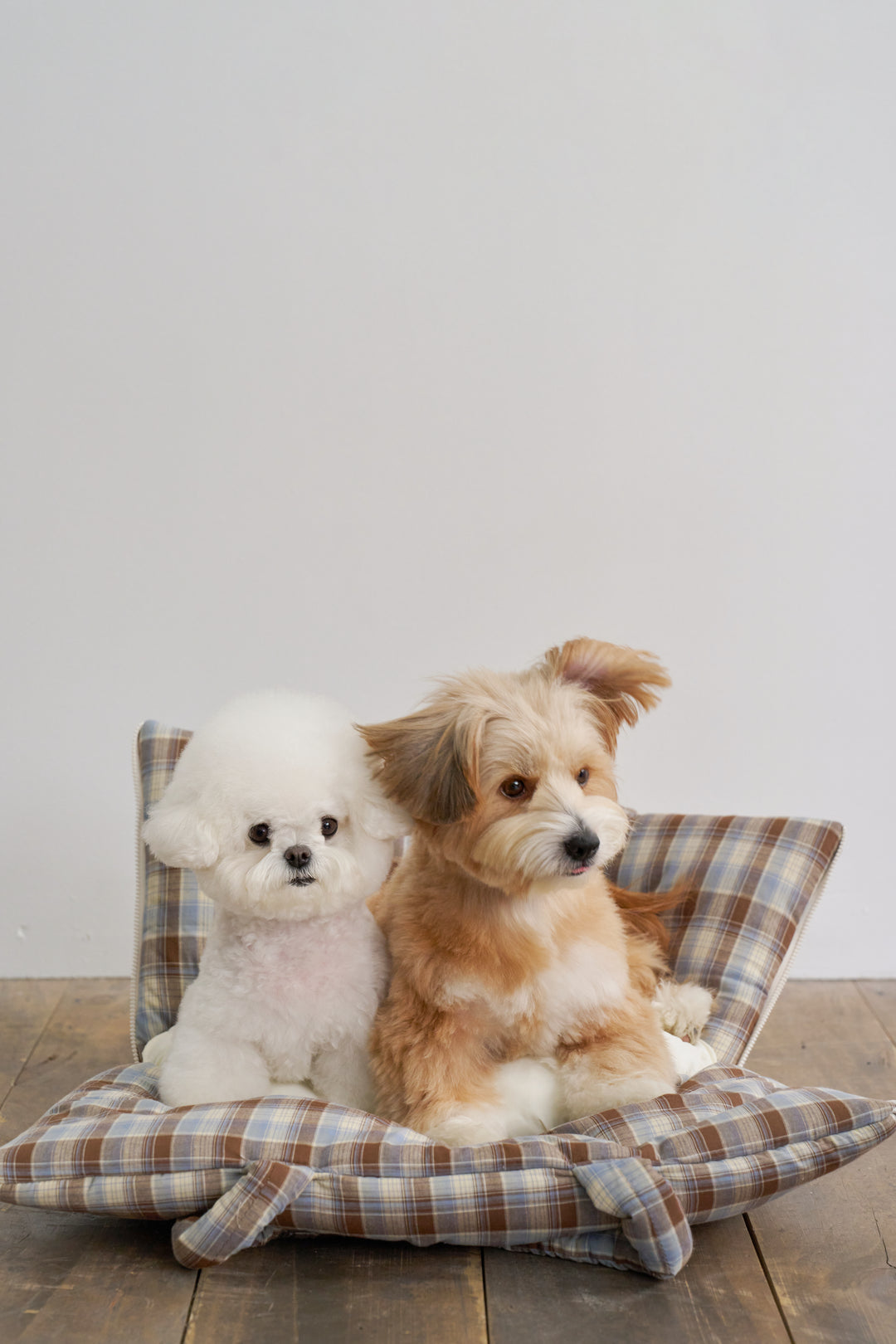 WIDE BAG - TARTAN BLUE