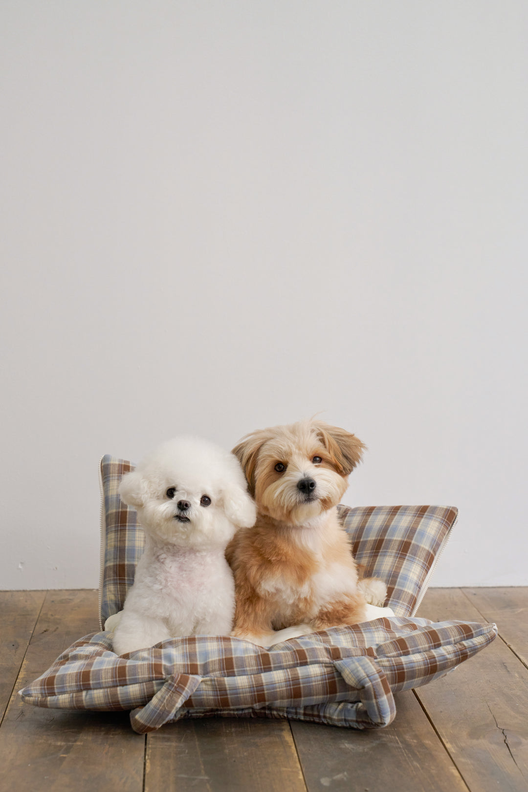 WIDE BAG - TARTAN BLUE