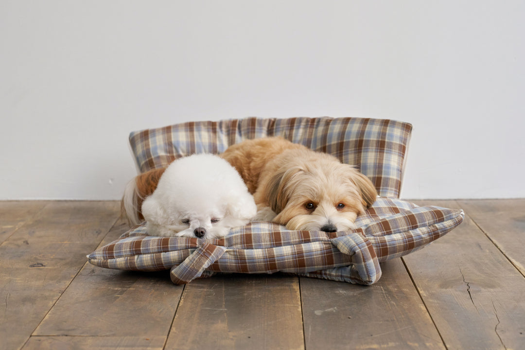 WIDE BAG - TARTAN BLUE