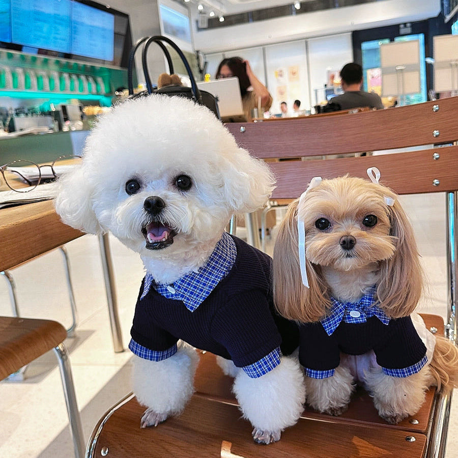 定価9.2万✴︎Leilian レリアン ホワイトレーベル ドッキングワンピース ワンピース【THE NEW】【Leilian WHITE LABEL】|レリアン