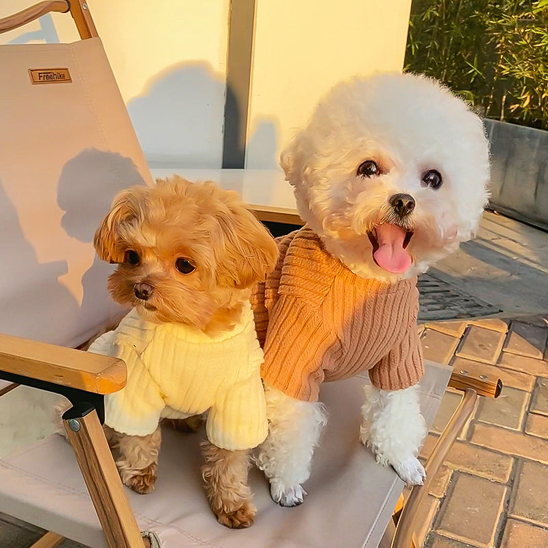 ふっくらリブニットトップ