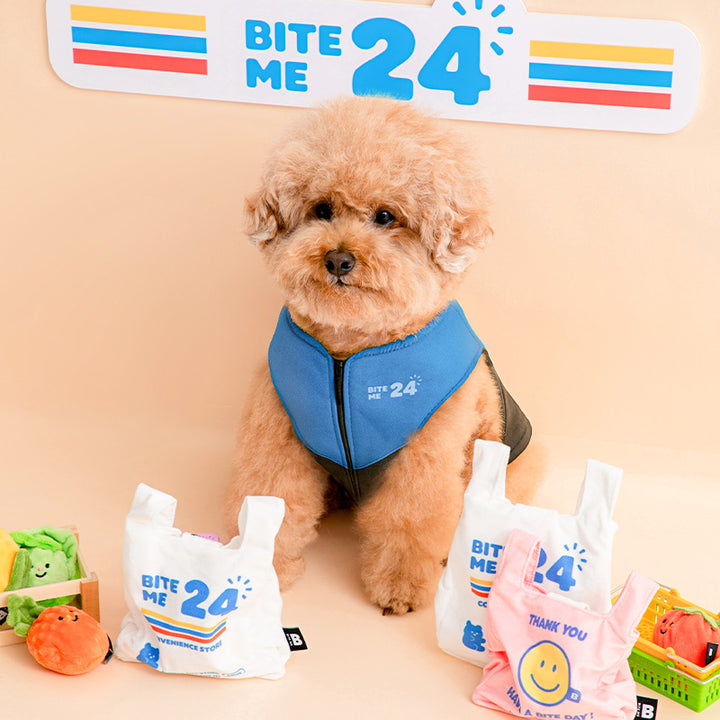 カシャカシャビニールズポケットおもちゃ