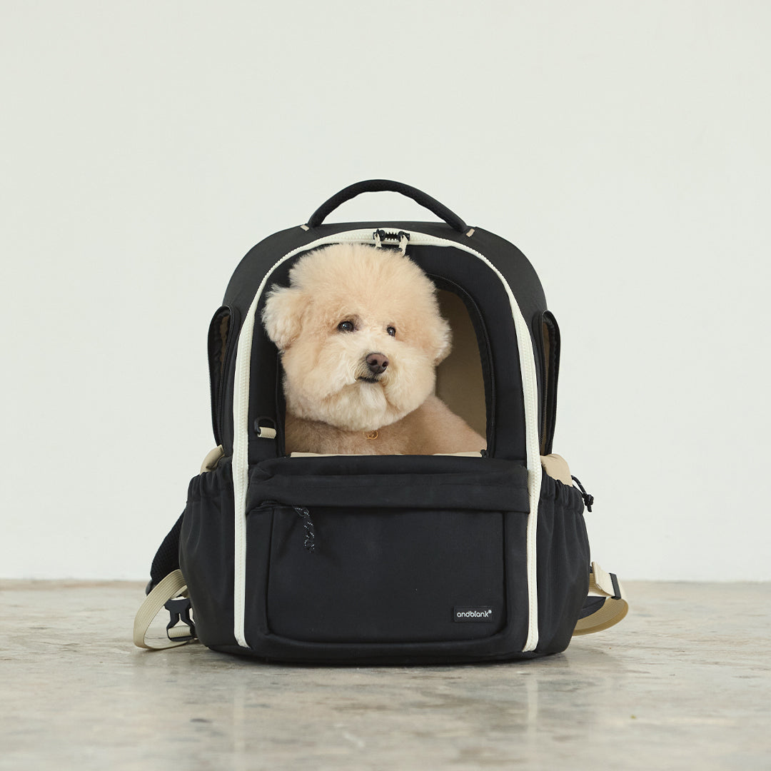 DAYPACK V3 プレミアムトラベルバックパック