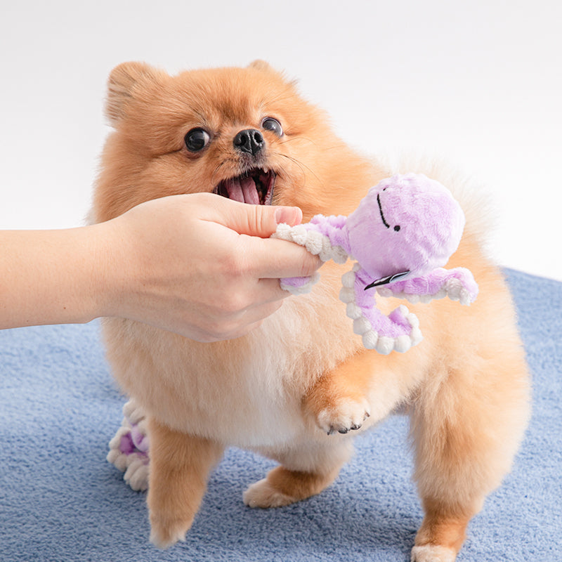 ぴゅんぴょんボールおもちゃ