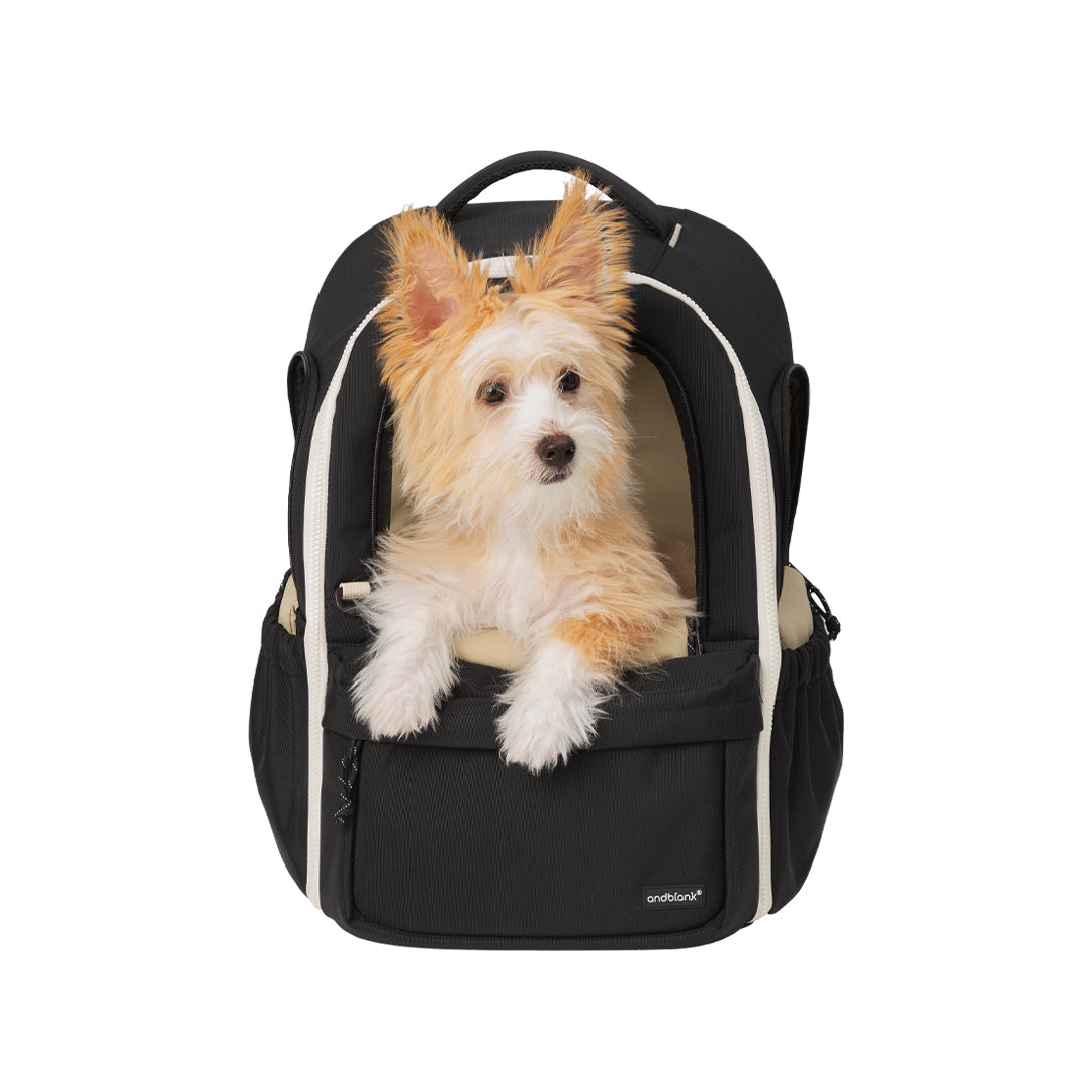 DAYPACK V3 プレミアムトラベルバックパック