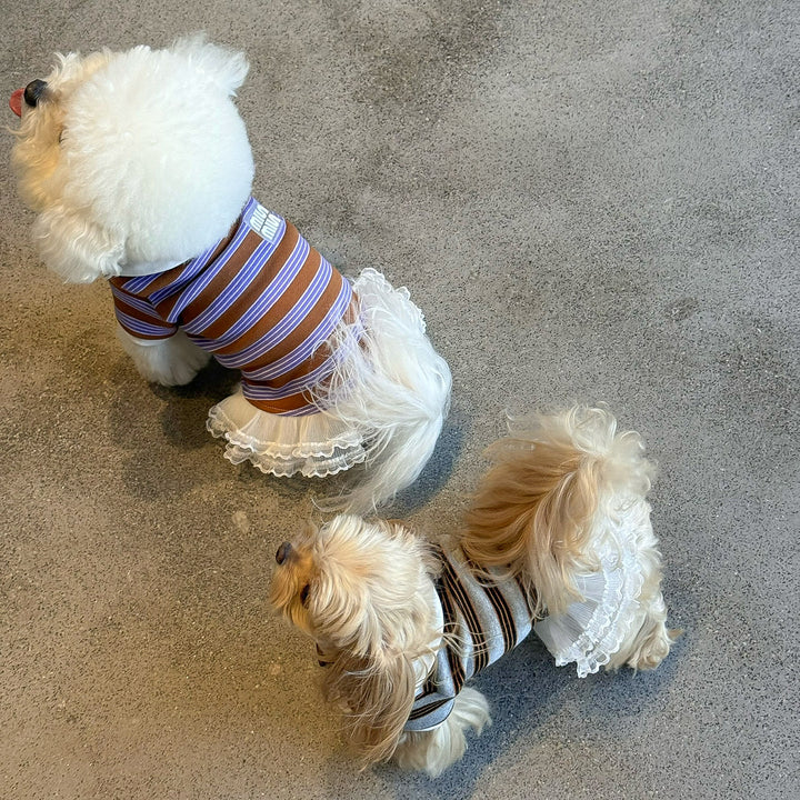 ストライプポロTシャツ&フリルワンピース