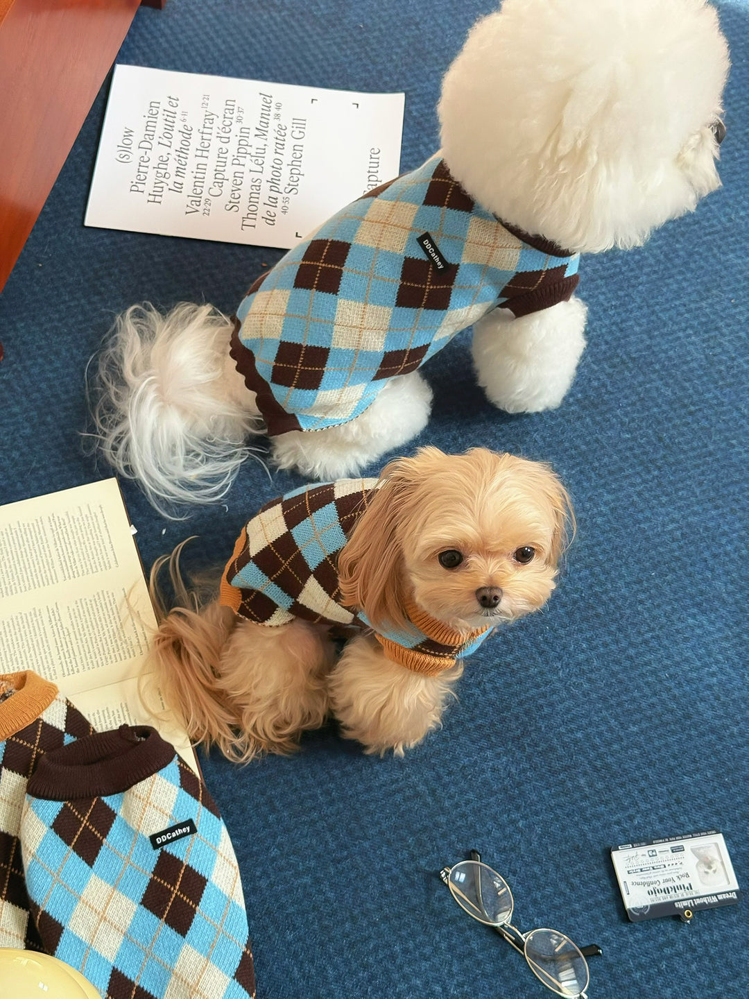 コージークロスニット