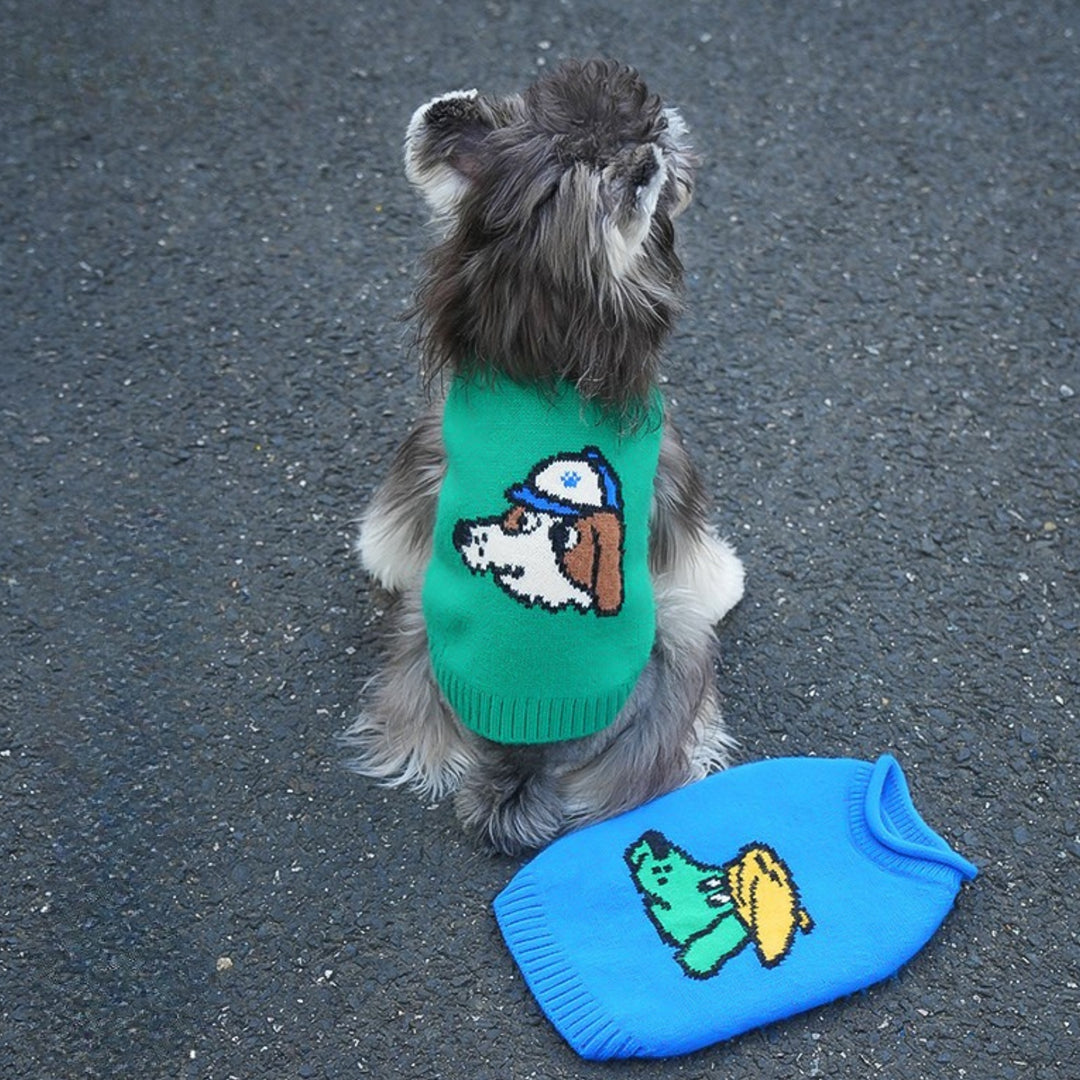 キャップドッグ・カラフルニット