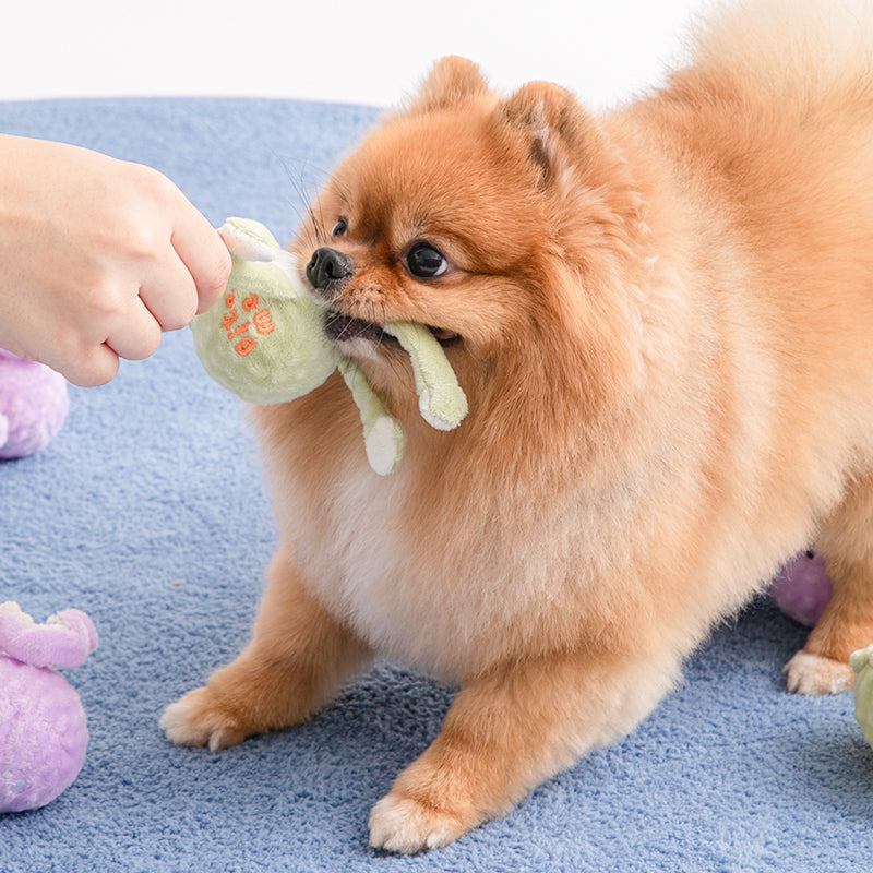 ぴゅんぴょんボールおもちゃ