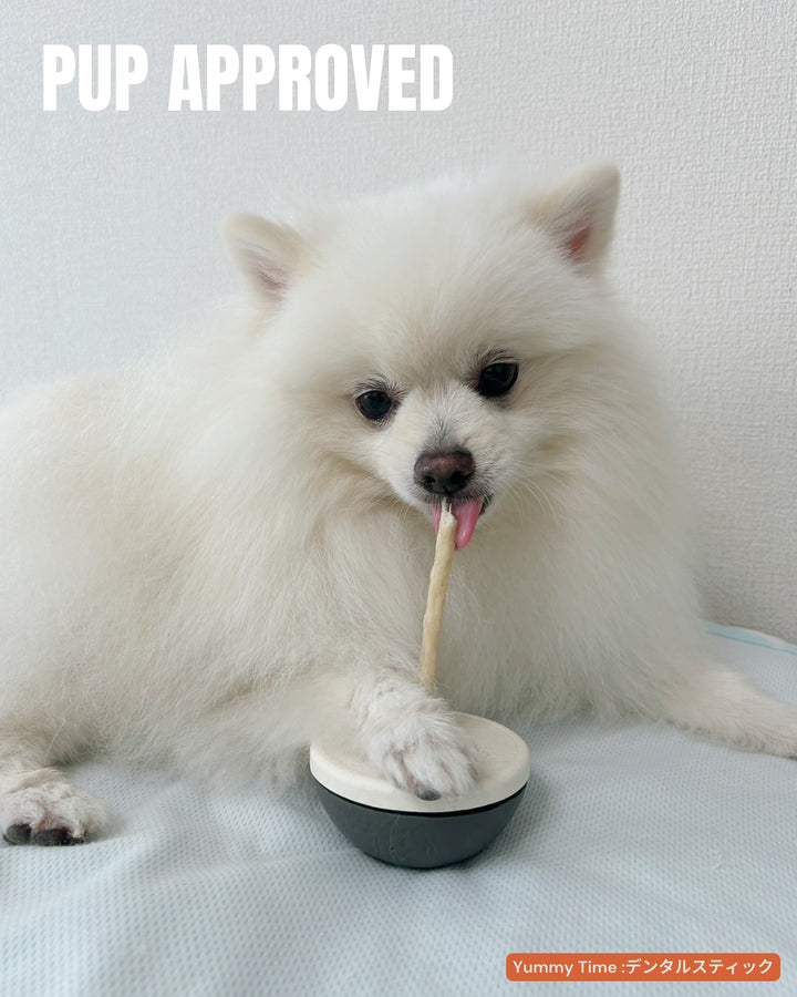 【国産/無添加】デンタルスティックS 15本