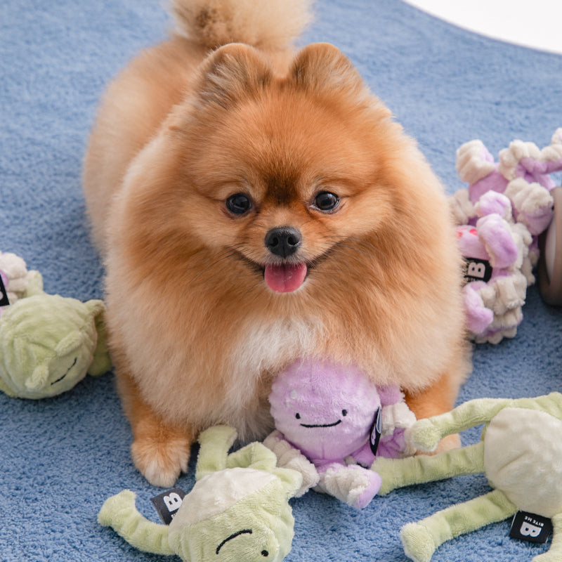 ぴゅんぴょんボールおもちゃ