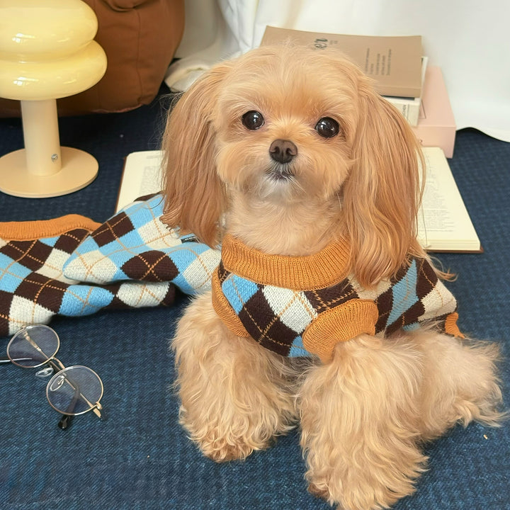 コージークロスニット