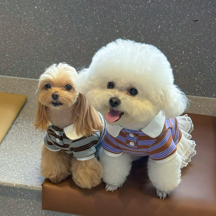 ストライプポロTシャツ&フリルワンピース