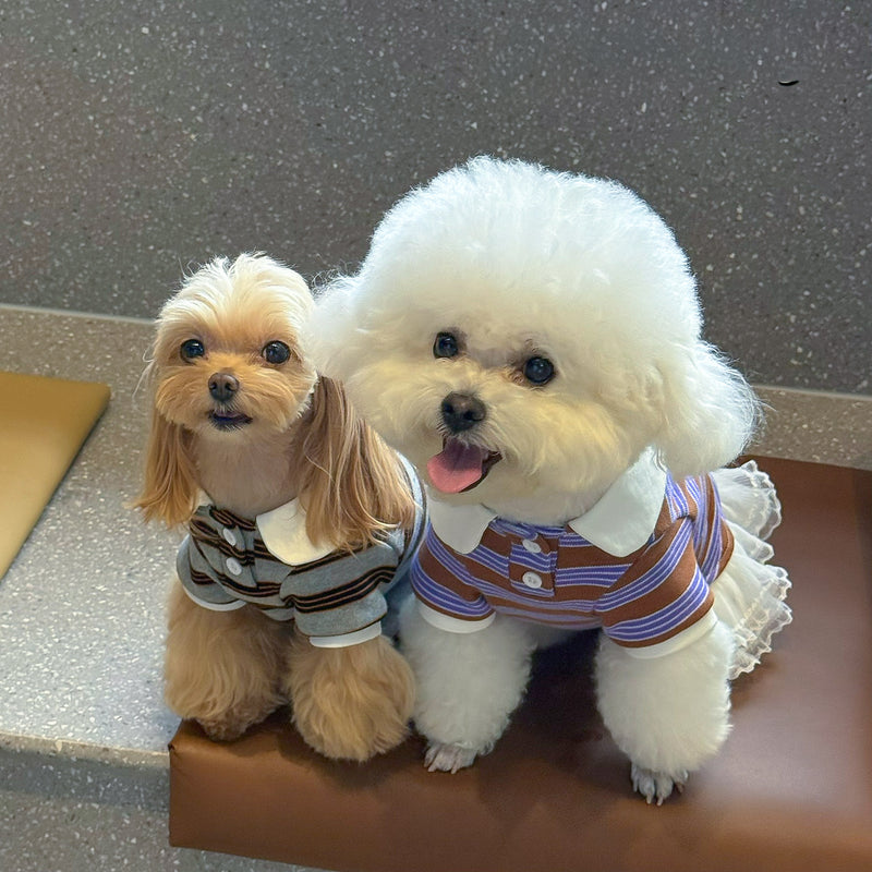 ストライプポロTシャツ&フリルワンピース