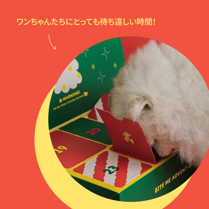 クリスマスアドベントカレンダー