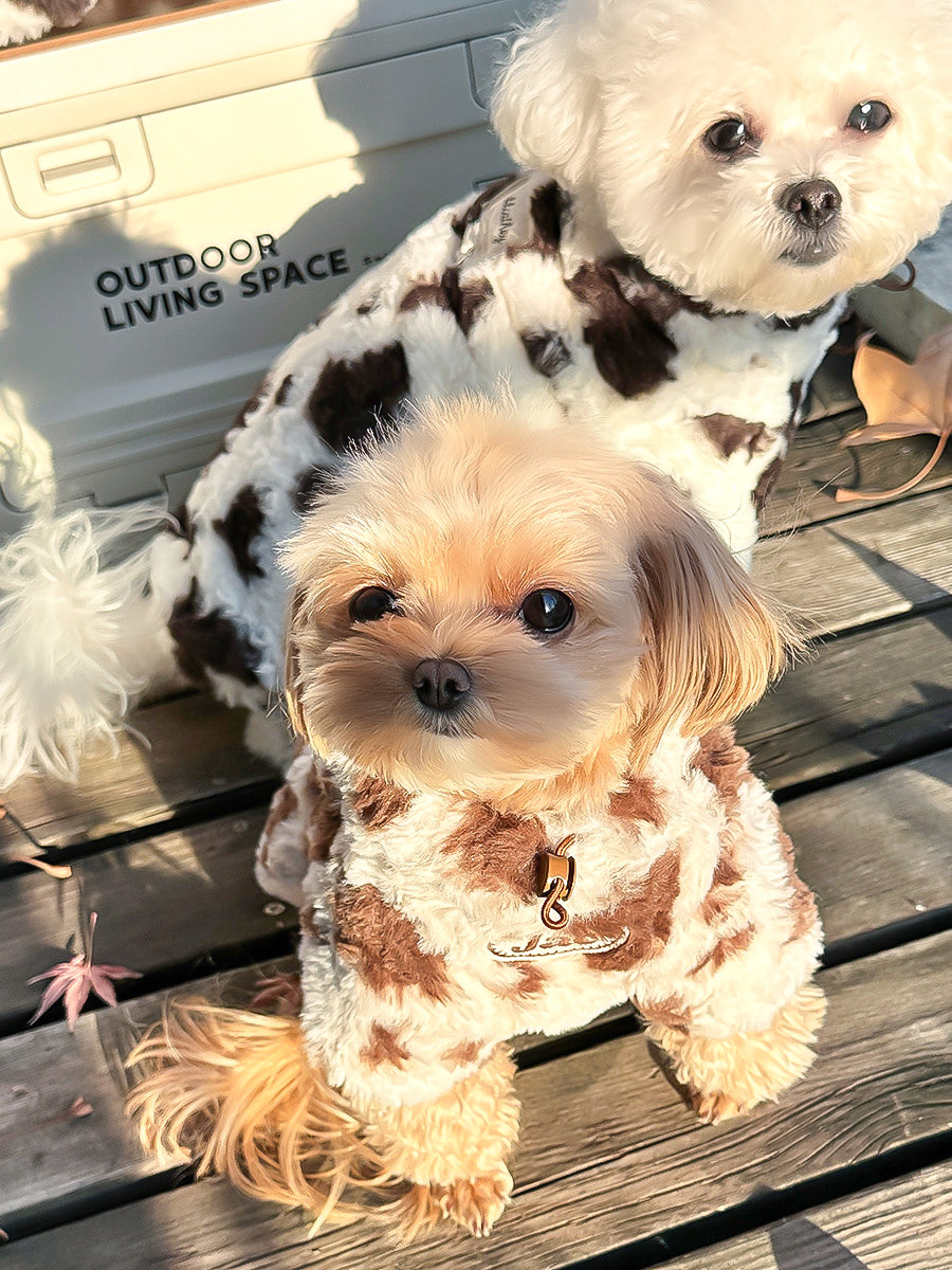 ミルクカウ・コージートップス