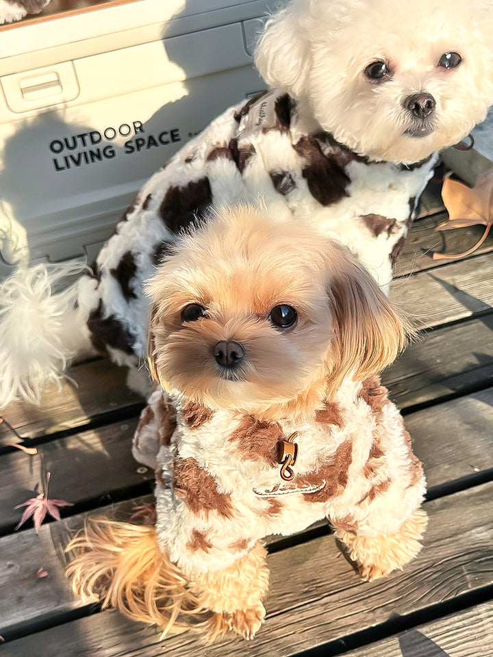 ミルクカウ・コージートップス